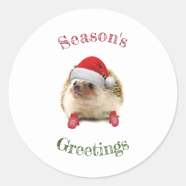 Season's Greetings Cute Winter Hedgehog Sticker (Front)