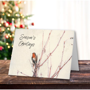 Seasons Greetings English Robin Personalized Holiday Card