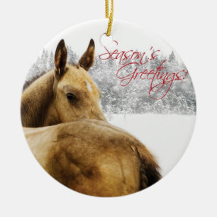 Season's Greetings Foal Ceramic Ornament