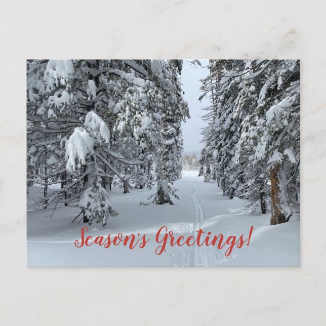 Season's Greetings from Tahoe! Postcard (Front)
