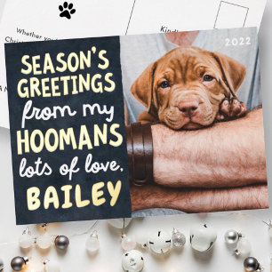 Season's Greetings Funny Modern Pet Custom Photo Foil Holiday Postcard