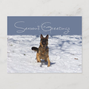 Seasons Greetings German Shepherd in Snow Postcard