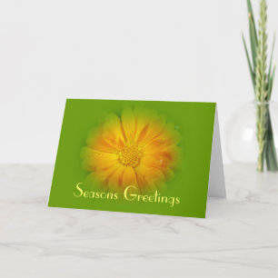 Seasons greetings  greeting card