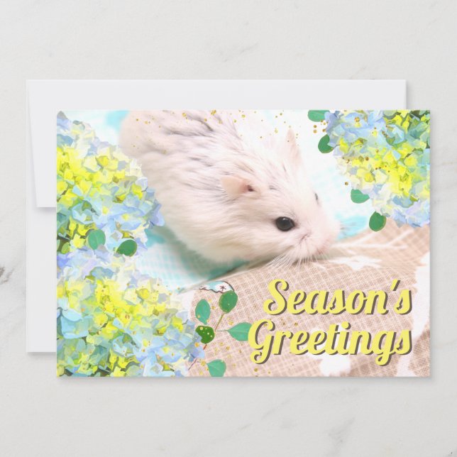Season's Greetings Hamster with Blue Hydrangeas Holiday Card (Front)