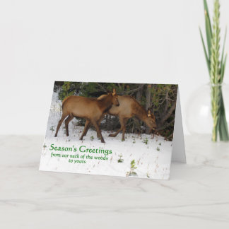 Season's Greetings Holiday Card