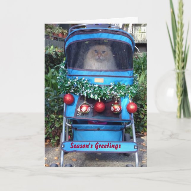 Season's Greetings Holiday Card (Front)