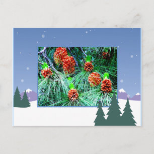 Seasons greetings_ holiday postcard