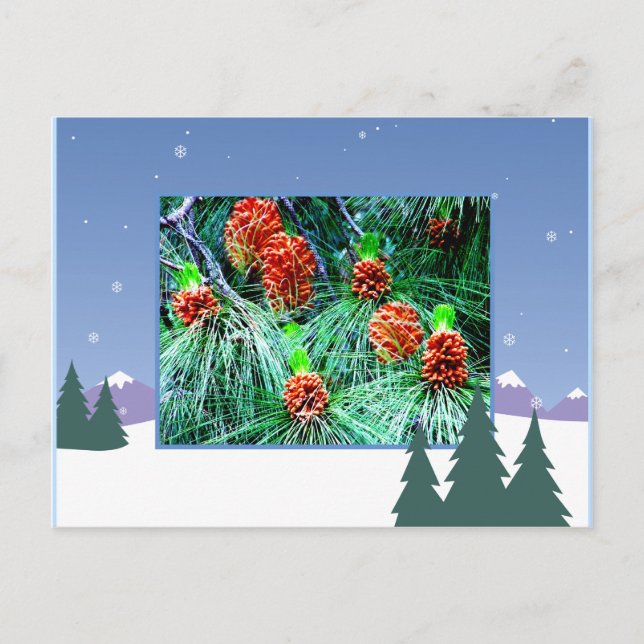 Seasons greetings_ holiday postcard (Front)
