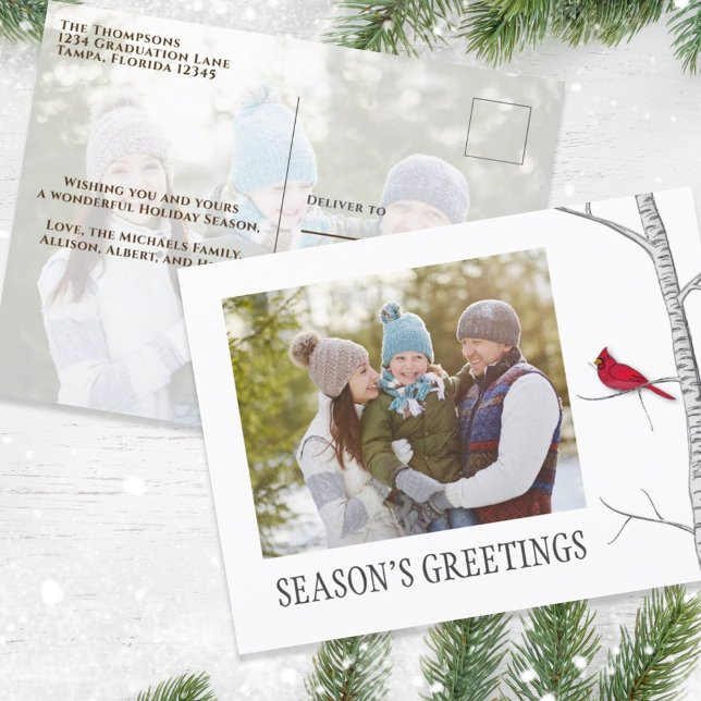 Season's Greetings Holiday Two Photo Red Cardinal (Simple winter botanical red cardinal photo postcard with a minimalist design.)