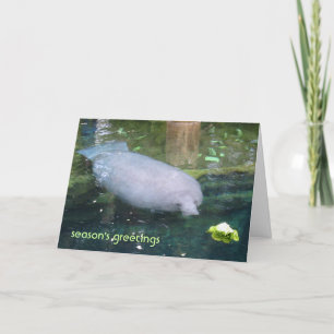 season's greetings - lettuce holiday card