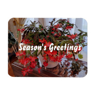 Season's Greetings Magnet