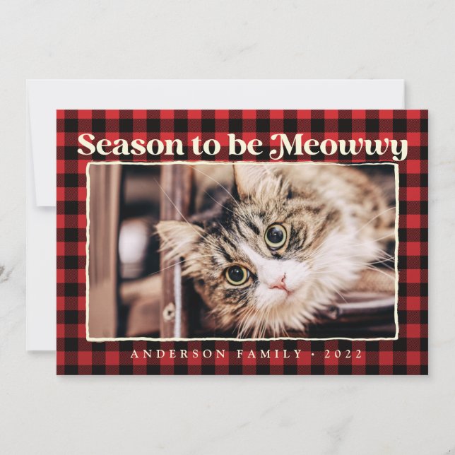 Season's Greetings Plaid Funny Pet Cat Photo Holiday Card (Front)