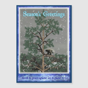 Season's Greetings - Porcupine In A Pine