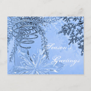 Season's Greetings postcard