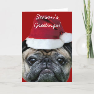 Season's Greetings pug greeting card