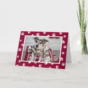 Season's Greetings! Red White Paw Prints Dog Photo Holiday Card