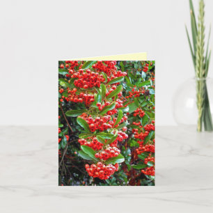 Season's Greetings Rowan Berry/Tree - Y Holiday Card