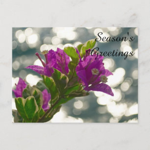 Season's Greetings Spring Flowers Bokeh Postcard
