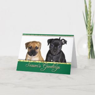 Season's greetings Staffordshire bull terrier card