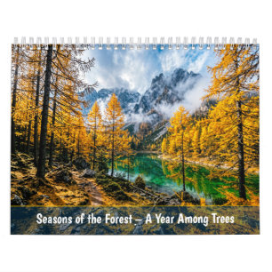 Seasons of the Forest - A Year Among Trees Calendar