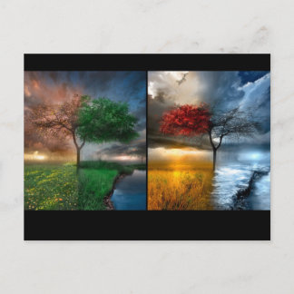 Seasons Postcard