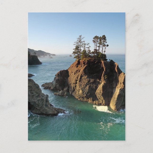 Seastack, Samuel Boardman State Park, Brookings, Postcard (Front)