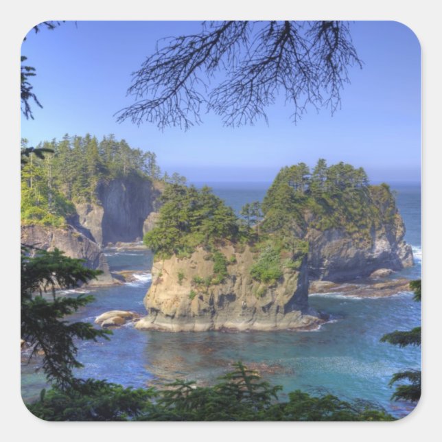 Seastacks, Makah Nation Tribal Lands, Cape Square Sticker (Front)
