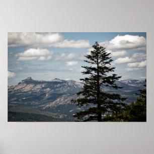 Seat with a View Print