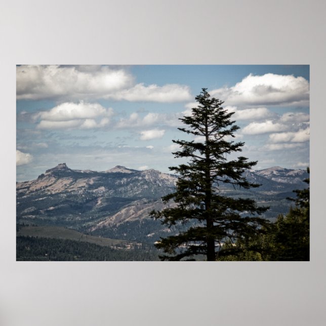 Seat with a View Print (Front)