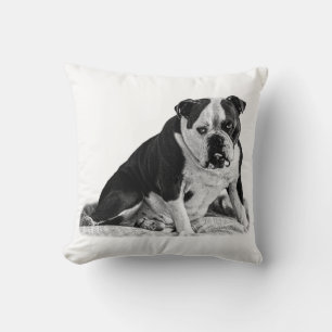 Seated Bulldog, Quiet Tones Throw Pillow