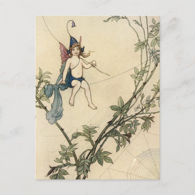 Seated on a Spider's Thread Postcard (Front)