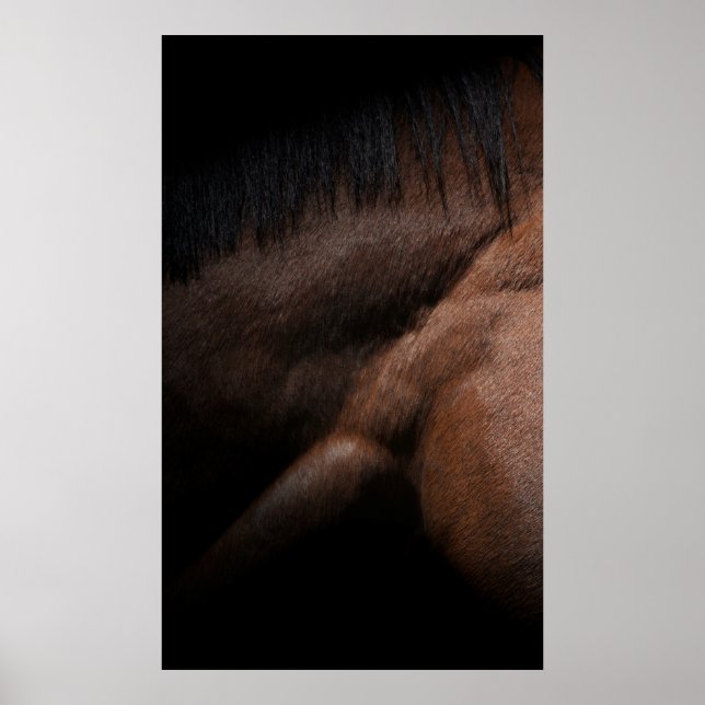 Seattle Poster (Front)