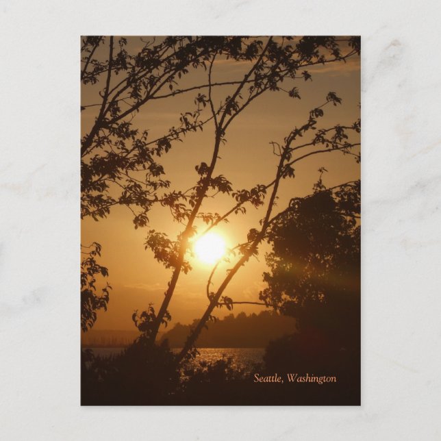 Seattle Sunset Postcard (Front)