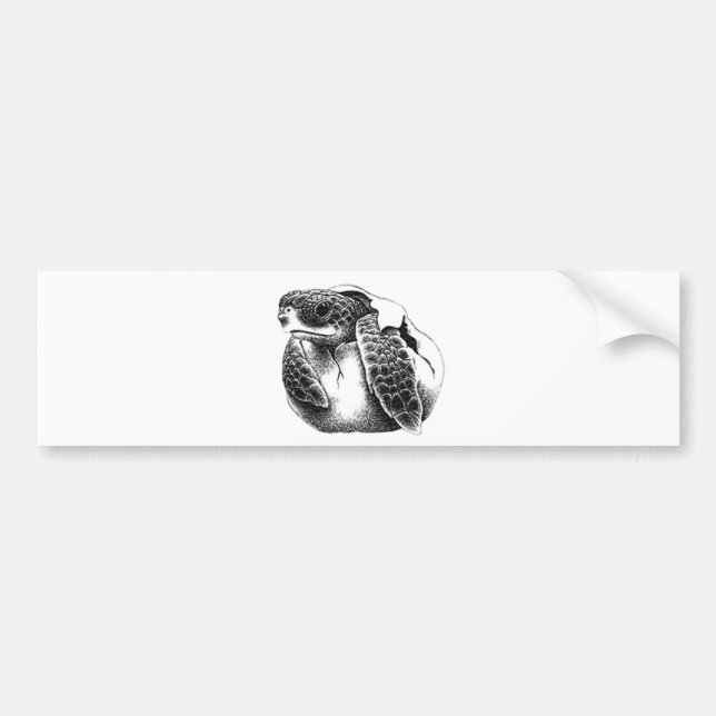 SeaTurtle-1 Bumper Sticker (Front)