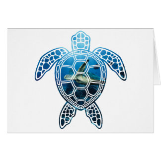 seaturtle-2