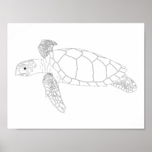 Seaturtle Adult Colouring Poster