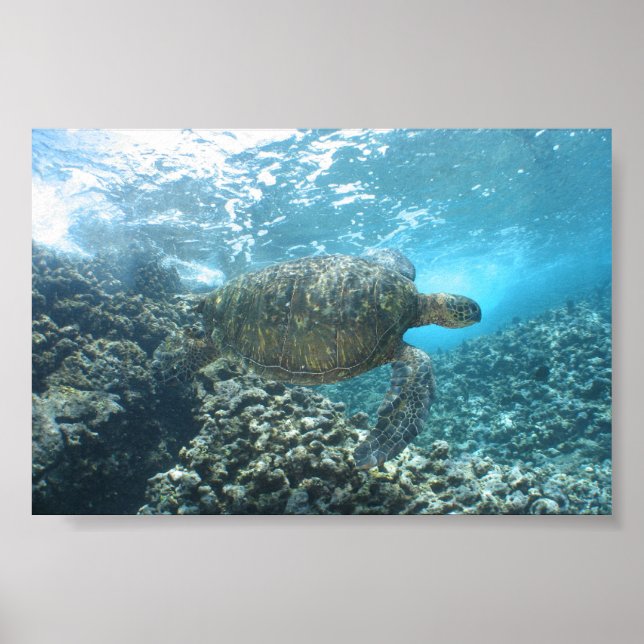 Seaturtle at the Shorebreak Poster (Front)
