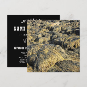 seawall seaweed invitation