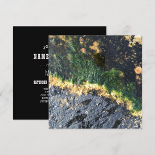 seawall seaweed maine invitation