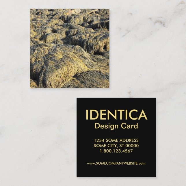 seawall seaweed square business card (Front/Back)