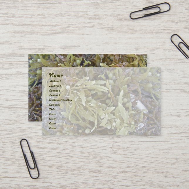 Seaweed Business Card (Front/Back In Situ)