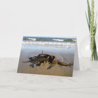 Seaweed! Card