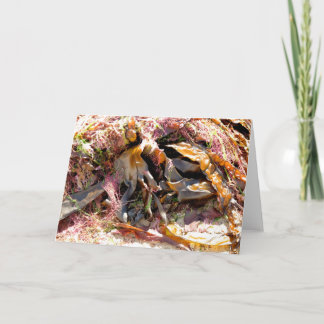 SEAWEED CARD