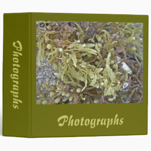 Seaweed Coordinating Items Binder