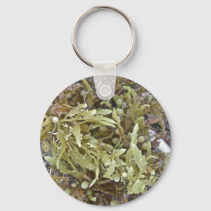 Seaweed Coordinating Items Keychain