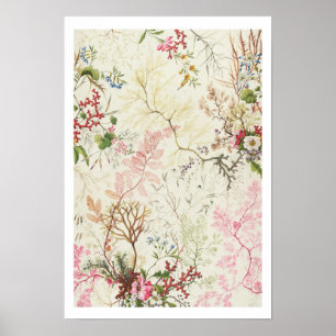 Seaweed design for silk material (w/c on paper) poster