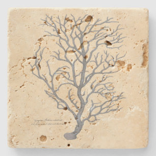 Seaweed design on travertine coaster
