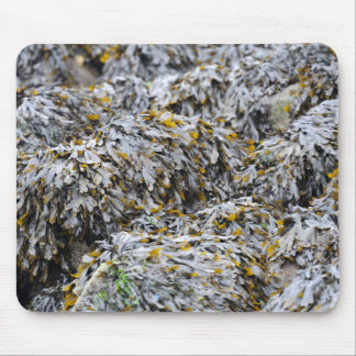 Seaweed Mouse Pad