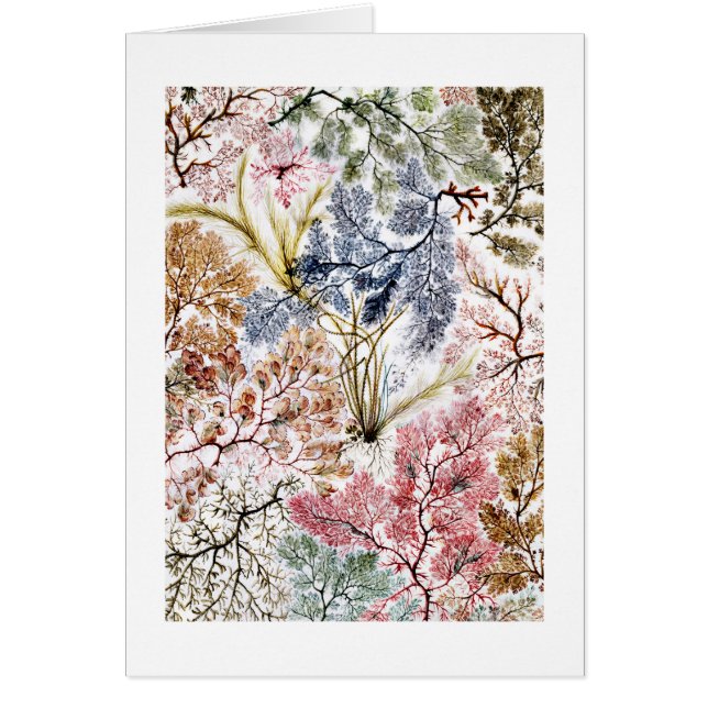 Seaweed Silk Fabric Art (Front)