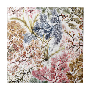 Seaweed Silk Fabric Art Tile